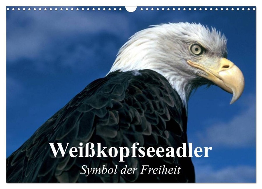Weißkopfseeadler. Symbol der Freiheit (Wandkalender 2026 DIN A3 quer), CALVENDO Monatskalender - Elisabeth Stanzer