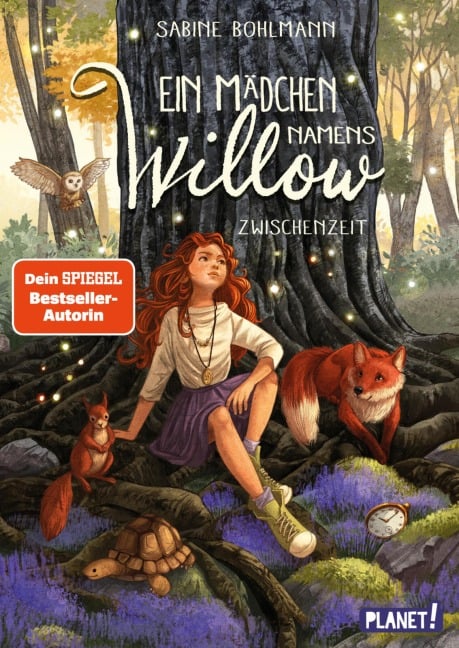 Ein Mädchen namens Willow 6: Zwischenzeit - Sabine Bohlmann