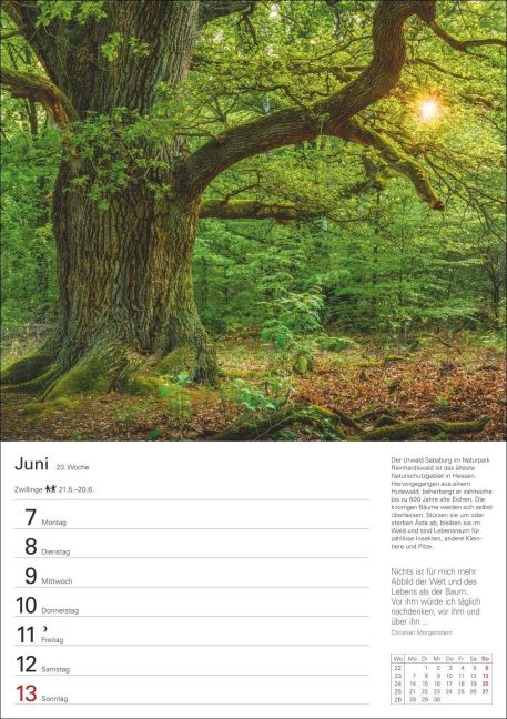 InsideView 4