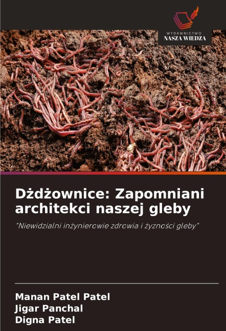 D¿d¿ownice: Zapomniani architekci naszej gleby - Manan Patel Patel, Jigar Panchal, Digna Patel