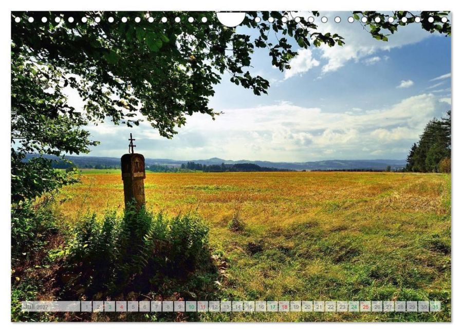 InsideView 12