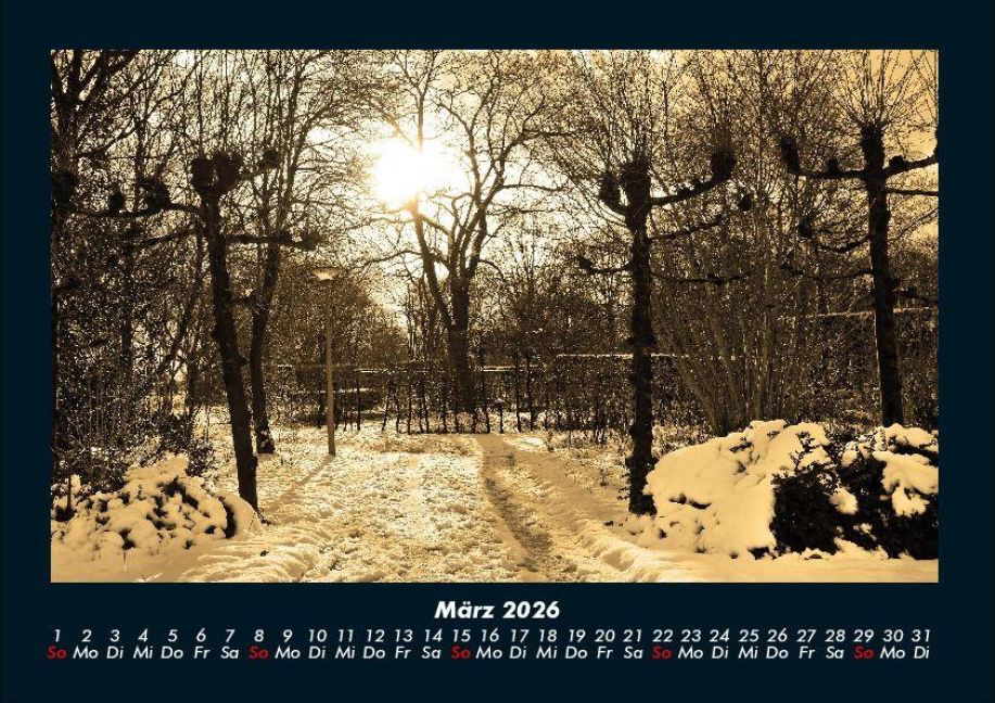 InsideView 7