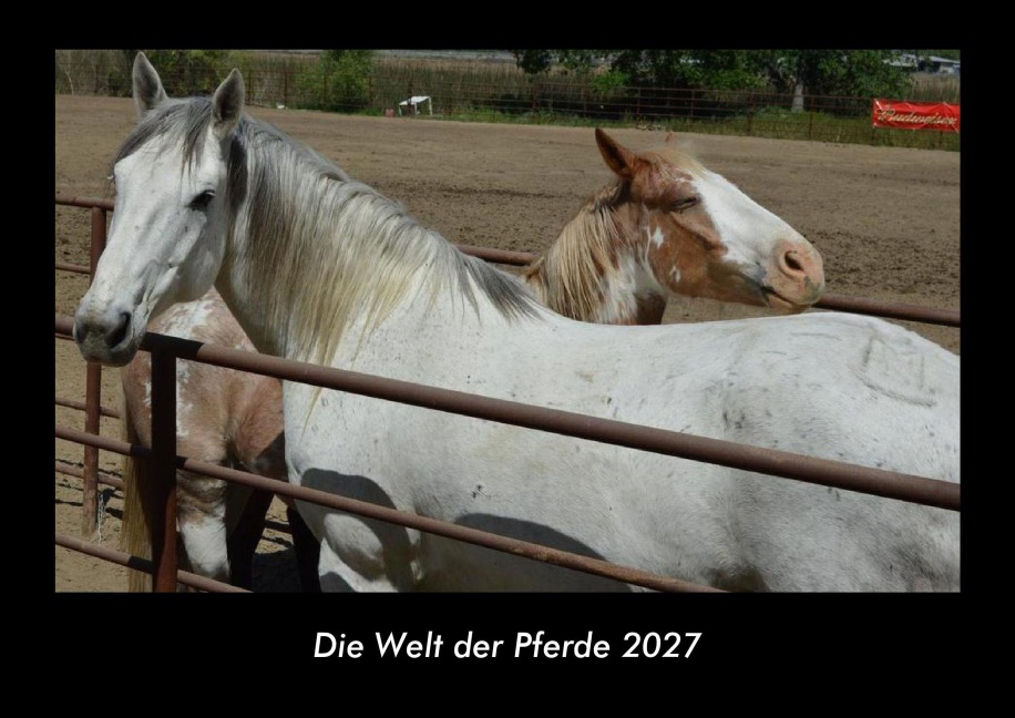 Die Welt der Pferde 2027 Fotokalender DIN A3 - Tobias Becker