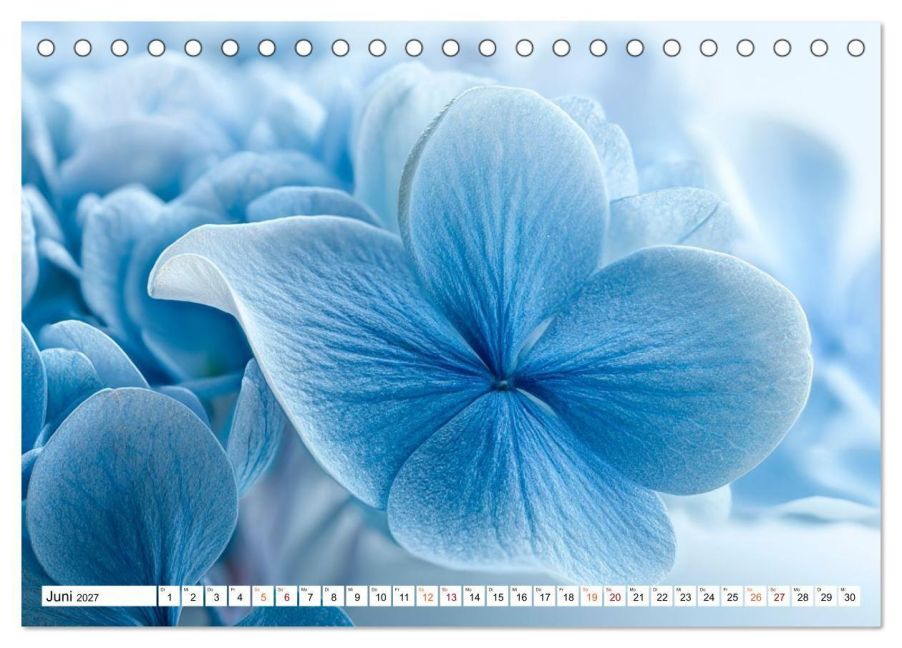 InsideView 11