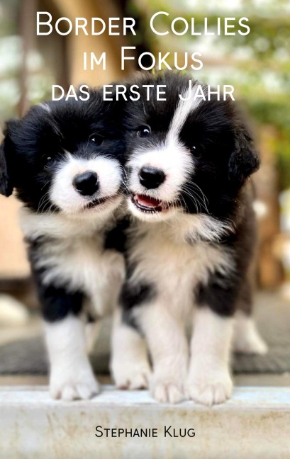 Border Collies im Fokus - das erste Jahr - Stephanie Klug