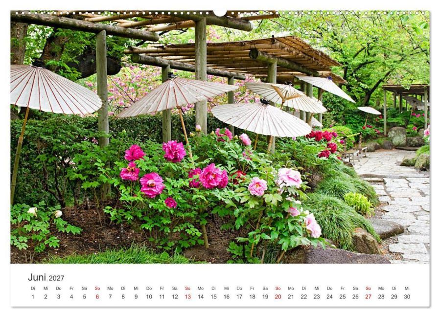 InsideView 11