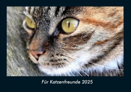 Cover-Bild zum Titel 'Für Katzenfreunde 2025 Fotokalender DIN A4' von 'Tobias Becker'