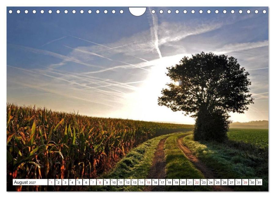 InsideView 13