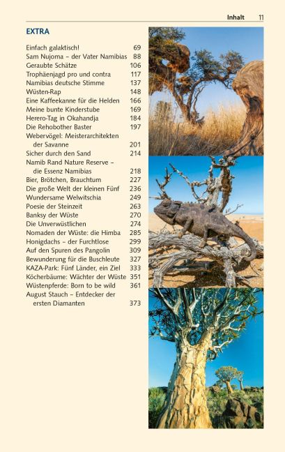 InsideView 11