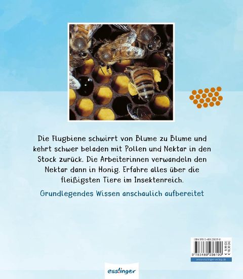 InsideView 6