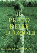 Cover-Bild zum Titel 'IL PRATO DELLE LUCCIOLE' von 'Roberta Zaccagni'