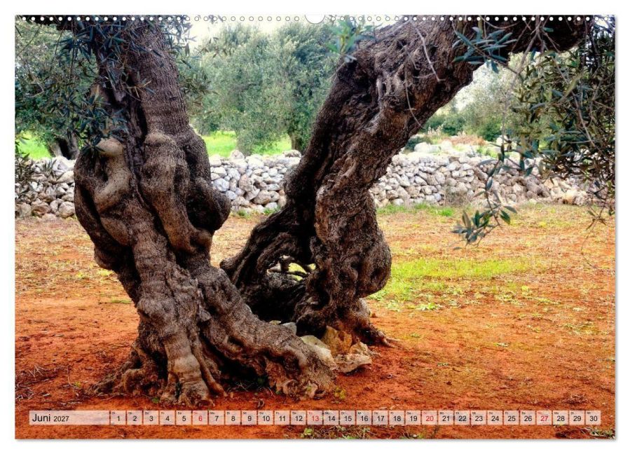 InsideView 10