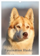 Cover-Bild zum Titel 'Faszination Husky (Wandkalender 2026 DIN A3 hoch), CALVENDO Monatskalender' von 'Huskyranch of Snow Wolf Valley'
