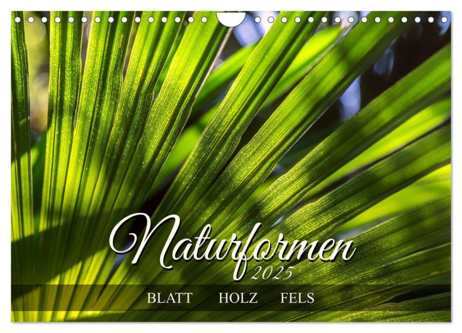 Naturformen, Blatt, Holz, Fels (Wandkalender 2025 DIN A4 quer), CALVENDO Monatskalender - Werner Braun