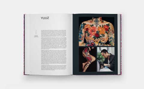 InsideView 6