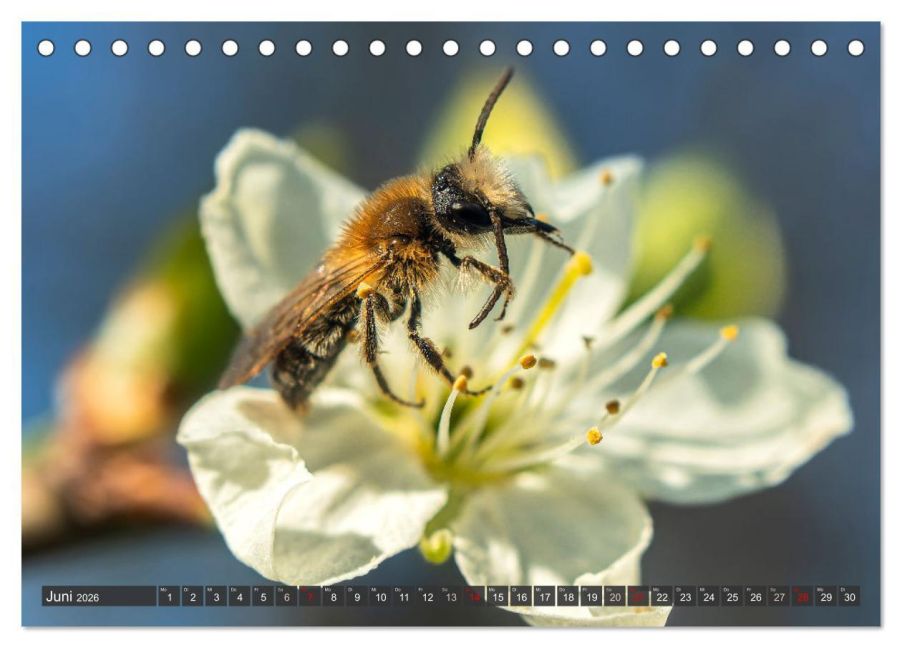 InsideView 11