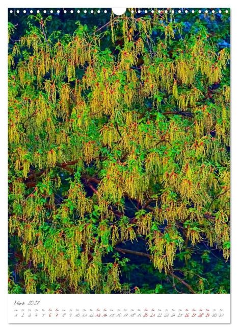 InsideView 8
