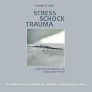 Cover-Bild zum Titel 'Stress Schock Trauma ... verstehen, (an)erkennen und achtsam überwinden' von 'Elisabeth M. Koch'