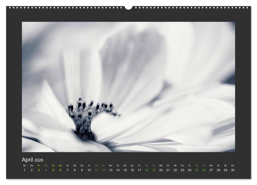 InsideView 8