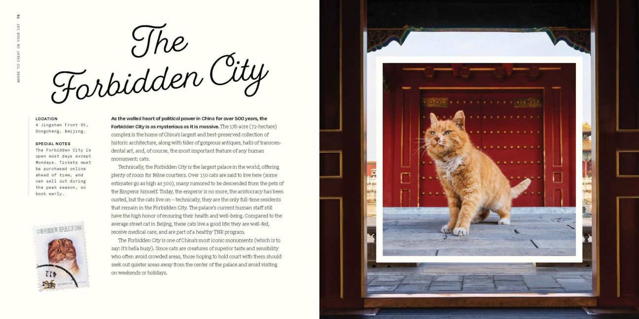 InsideView 13