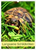 Langsame Schildkröten (Wandkalender 2025 DIN A3 hoch), CALVENDO Monatskalender - Kattobello Kattobello