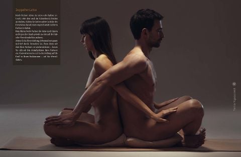 InsideView 7