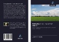 Cover-Bild zum Titel 'Energiewende - nu echter correct!' von 'Jochen K. Michels'