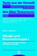 Cover-Bild zum Titel 'Rituale und Beschwörungen I' von 'Walter Farber, Hans Martin Kümmel, Willem H. Ph. Römer'