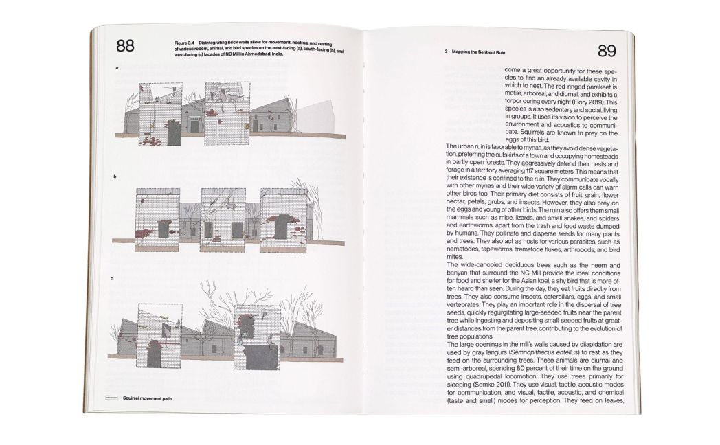 InsideView 11