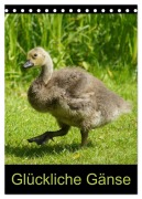 Cover-Bild zum Titel 'Glückliche Gänse (Tischkalender 2026 DIN A5 hoch), CALVENDO Monatskalender' von 'Kattobello Kattobello'