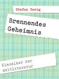 Cover-Bild zum Titel 'Brennendes Geheimnis' von 'Stefan Zweig'