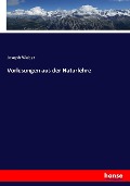 Cover-Bild zum Titel 'Vorlesungen aus der Naturlehre' von 'Joseph Weber'
