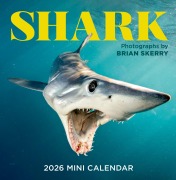 Cover-Bild zum Titel 'Shark Mini Wall Calendar 2026' von 'Brian Skerry, Workman Calendars'