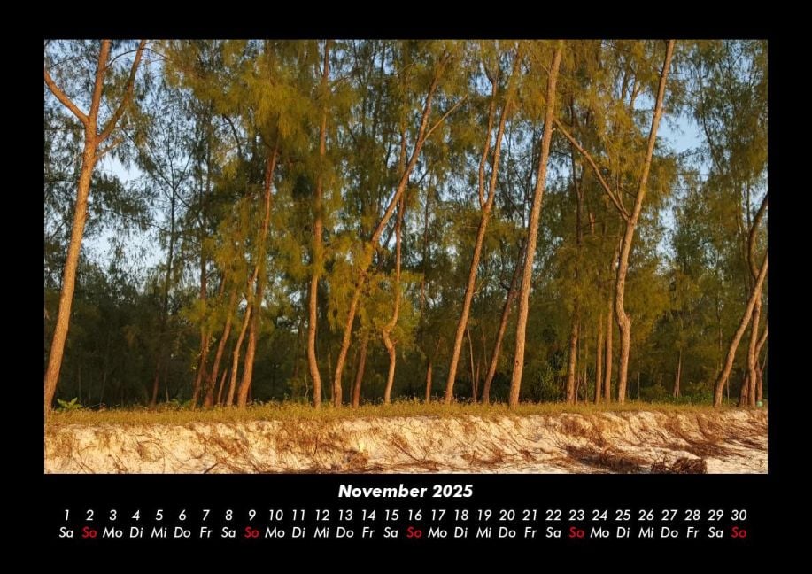 InsideView 3