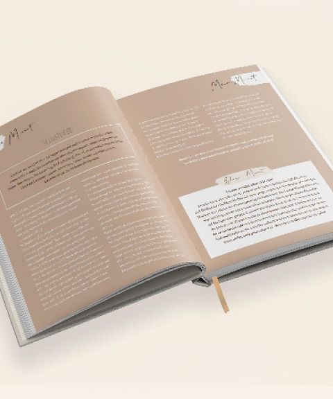 InsideView 6