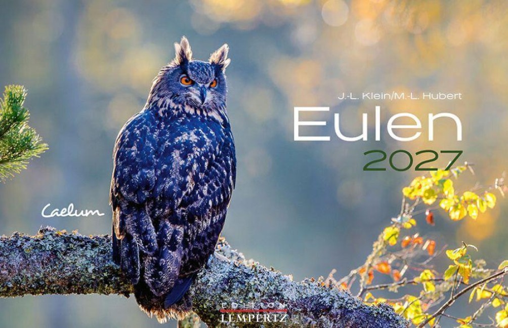 Eulen 2027 - J. -L. Hubert Klein