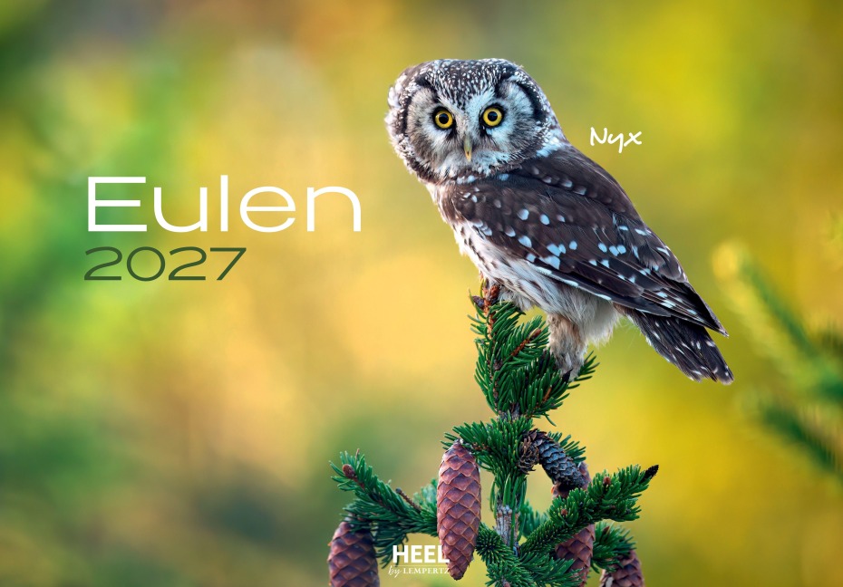 Eulen Kalender 2027 - J. -L. Hubert Klein