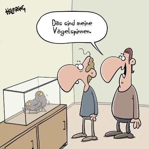 InsideView 9