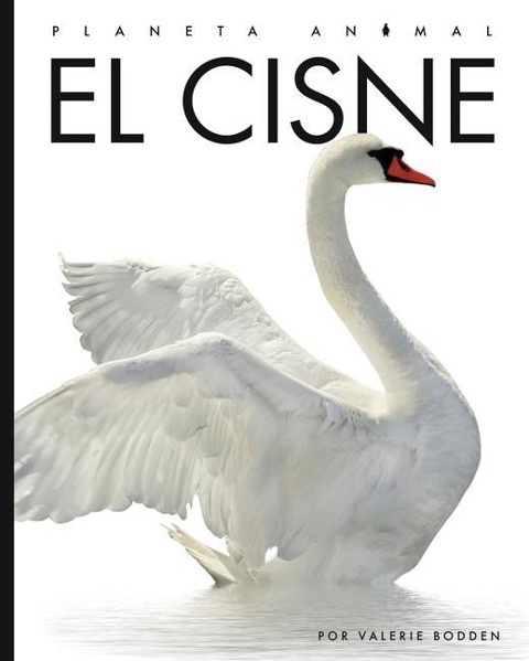 El Cisne - Valerie Bodden