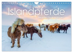 Cover-Bild zum Titel 'Islandpferde - Die süßen Pferde im Norden. (Wandkalender 2026 DIN A4 quer), CALVENDO Monatskalender' von 'M. Scott'
