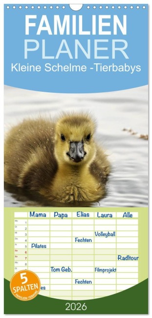 Familienplaner 2026 - Kleine Schelme - Tierbabys mit 5 Spalten (Wandkalender, 21 x 45 cm) CALVENDO - Sigrun Düll