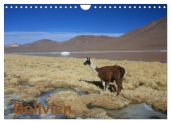 Cover-Bild zum Titel 'Bolivien (Wandkalender 2026 DIN A4 quer), CALVENDO Monatskalender' von 'Alboter Alboter'