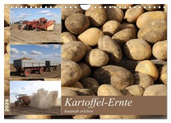 Cover-Bild zum Titel 'Kartoffel-Ernte - hautnah erleben (Wandkalender 2026 DIN A4 quer), CALVENDO Monatskalender' von 'SchnelleWelten SchnelleWelten'