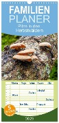 Familienplaner 2025 - Pilze in den Herbstwäldern mit 5 Spalten (Wandkalender, 21 x 45 cm) CALVENDO - Alain Gaymard
