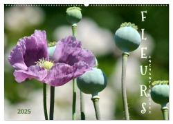 DES FLEURS ENCHANTERESSES (Calendrier mural 2026 DIN A2 vertical), CALVENDO calendrier mensuel - Anja Rau