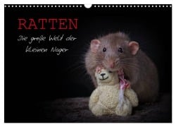 Cover-Bild zum Titel 'Ratten. Die große Welt der kleinen Nager (Wandkalender 2026 DIN A3 quer), CALVENDO Monatskalender' von 'Thorsten Nilson'
