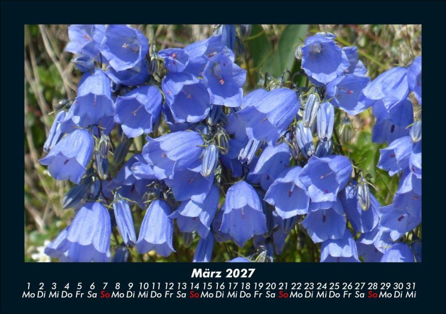 InsideView 7
