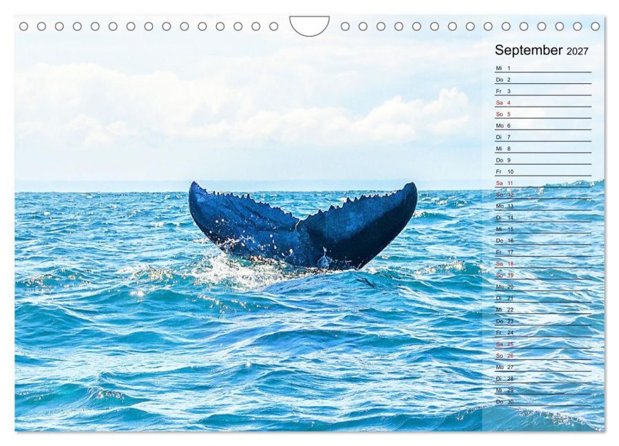 InsideView 14