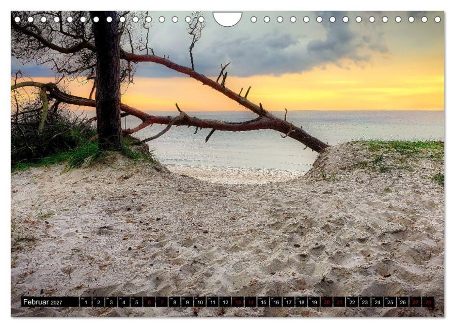 InsideView 7