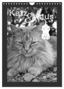Katz & Maus (Wandkalender 2026 DIN A4 hoch), CALVENDO Monatskalender - Julia Schäfer